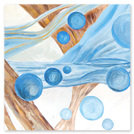 Logo tracciabilità del legno